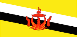 flag_m_Brunei