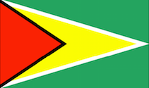 flag_m_Guyana